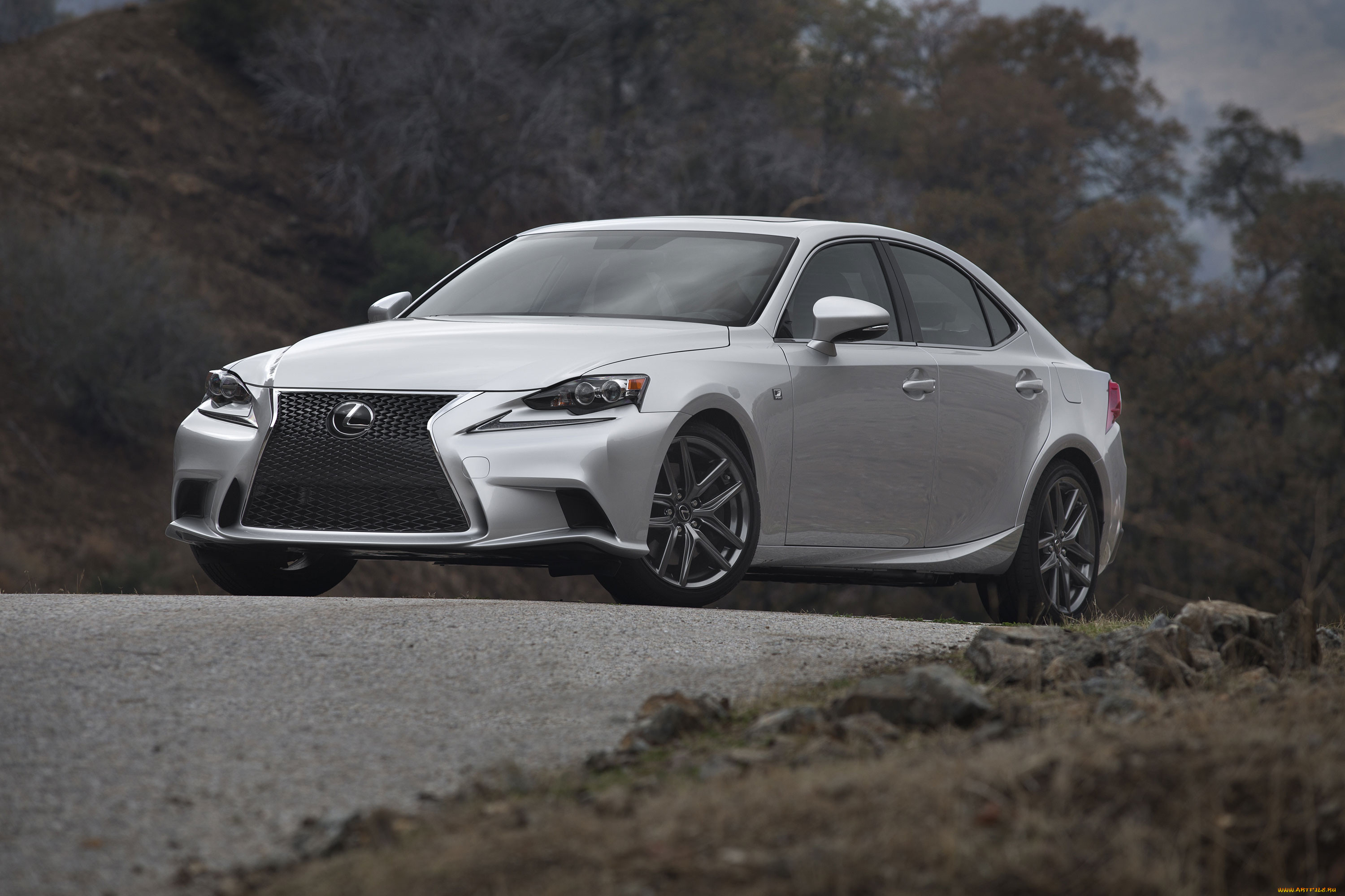 , lexus